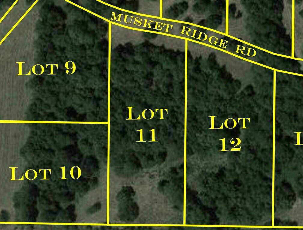 Republic, MO 65738,7054 W Musket Ridge RD #Lot 11