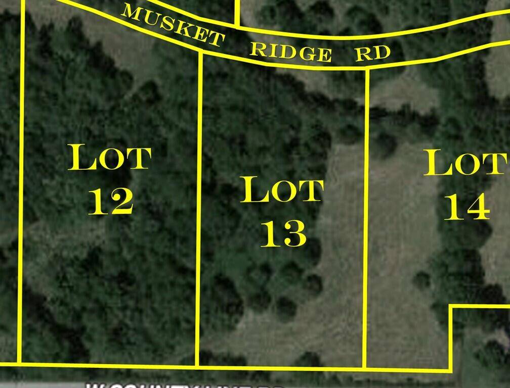 Republic, MO 65738,6948 W Musket Ridge RD #Lot 13