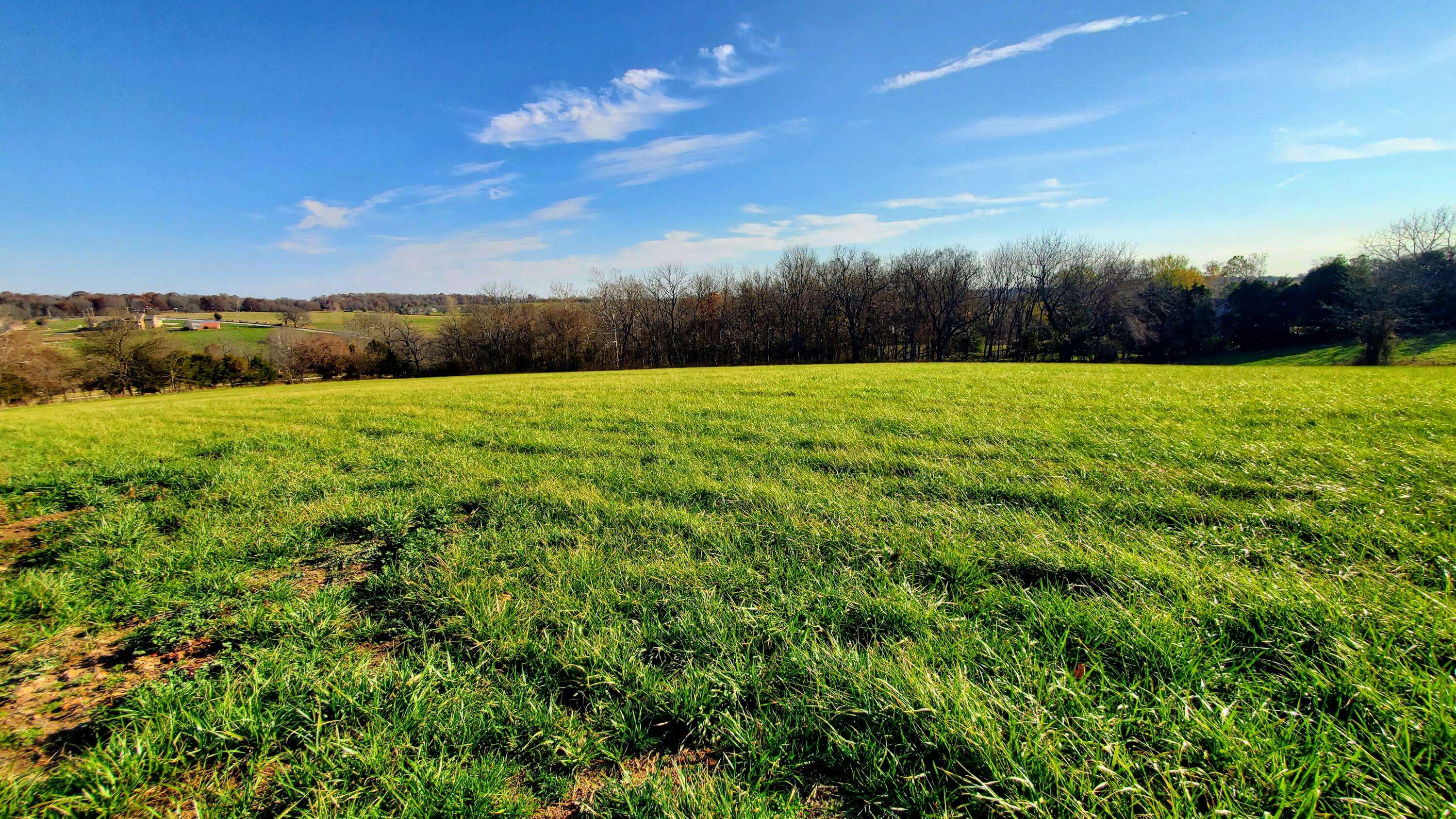 Republic, MO 65738,6536 S Barrel BLVD #Lot 16