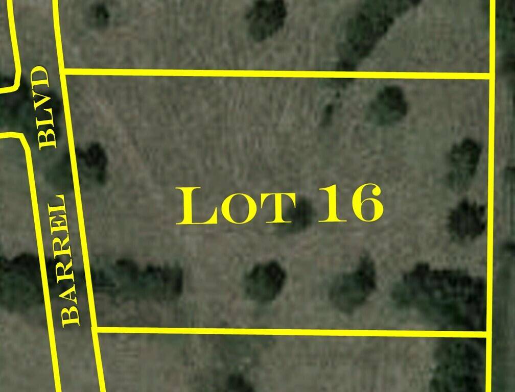 Republic, MO 65738,6536 S Barrel BLVD #Lot 16