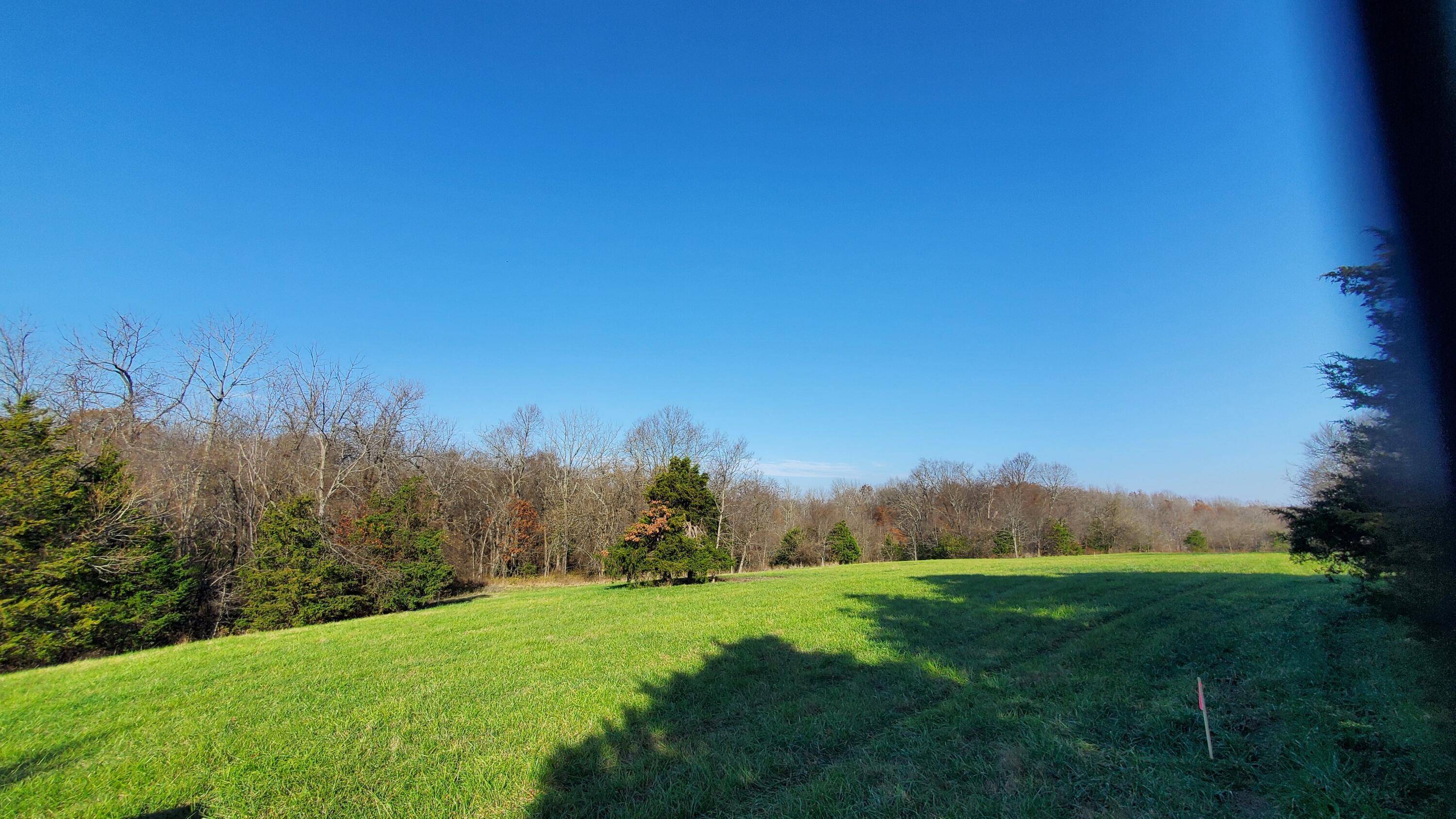 Republic, MO 65738,6973 W Musket Ridge RD #Lot 22