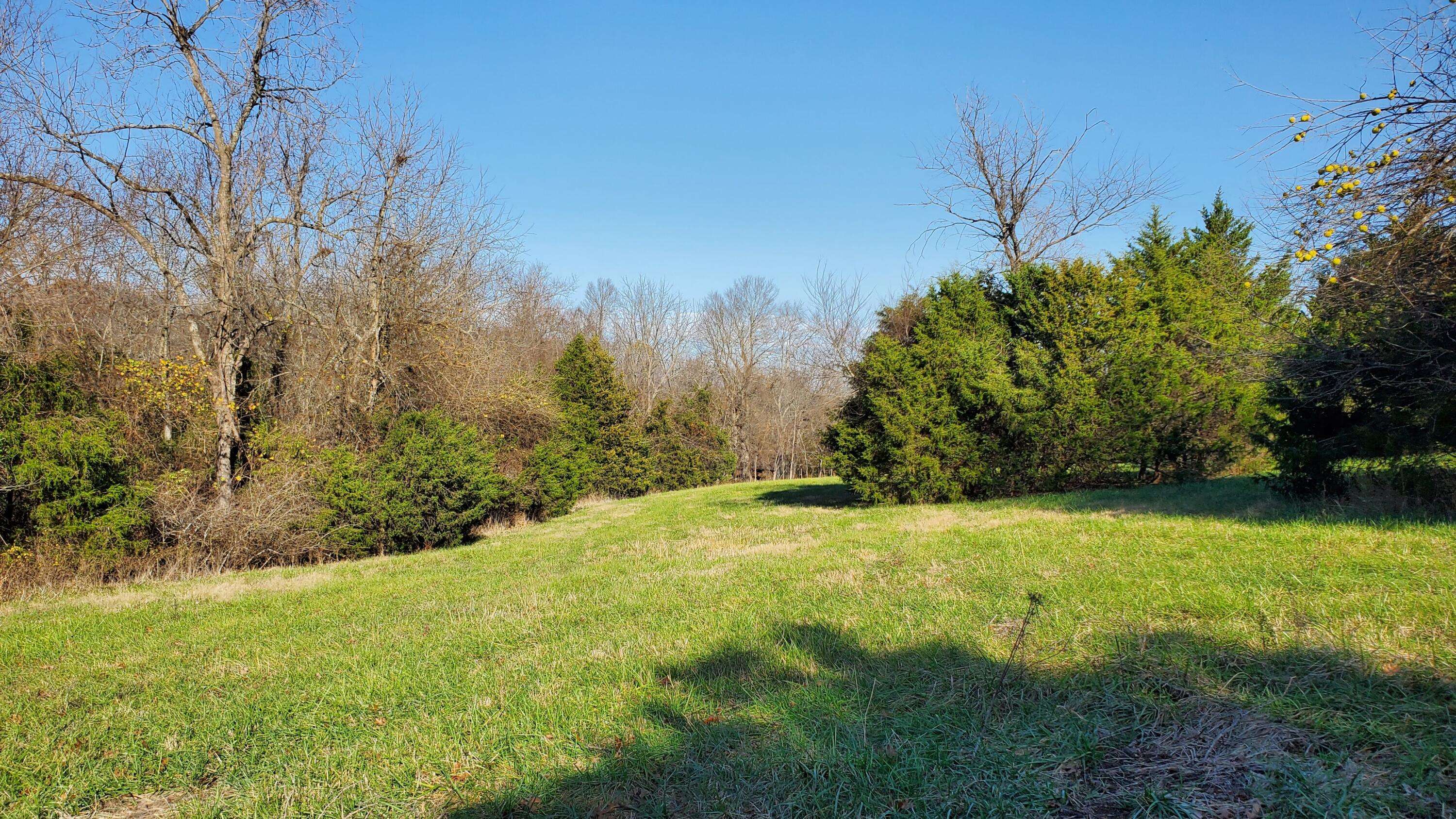 Republic, MO 65738,6973 W Musket Ridge RD #Lot 22