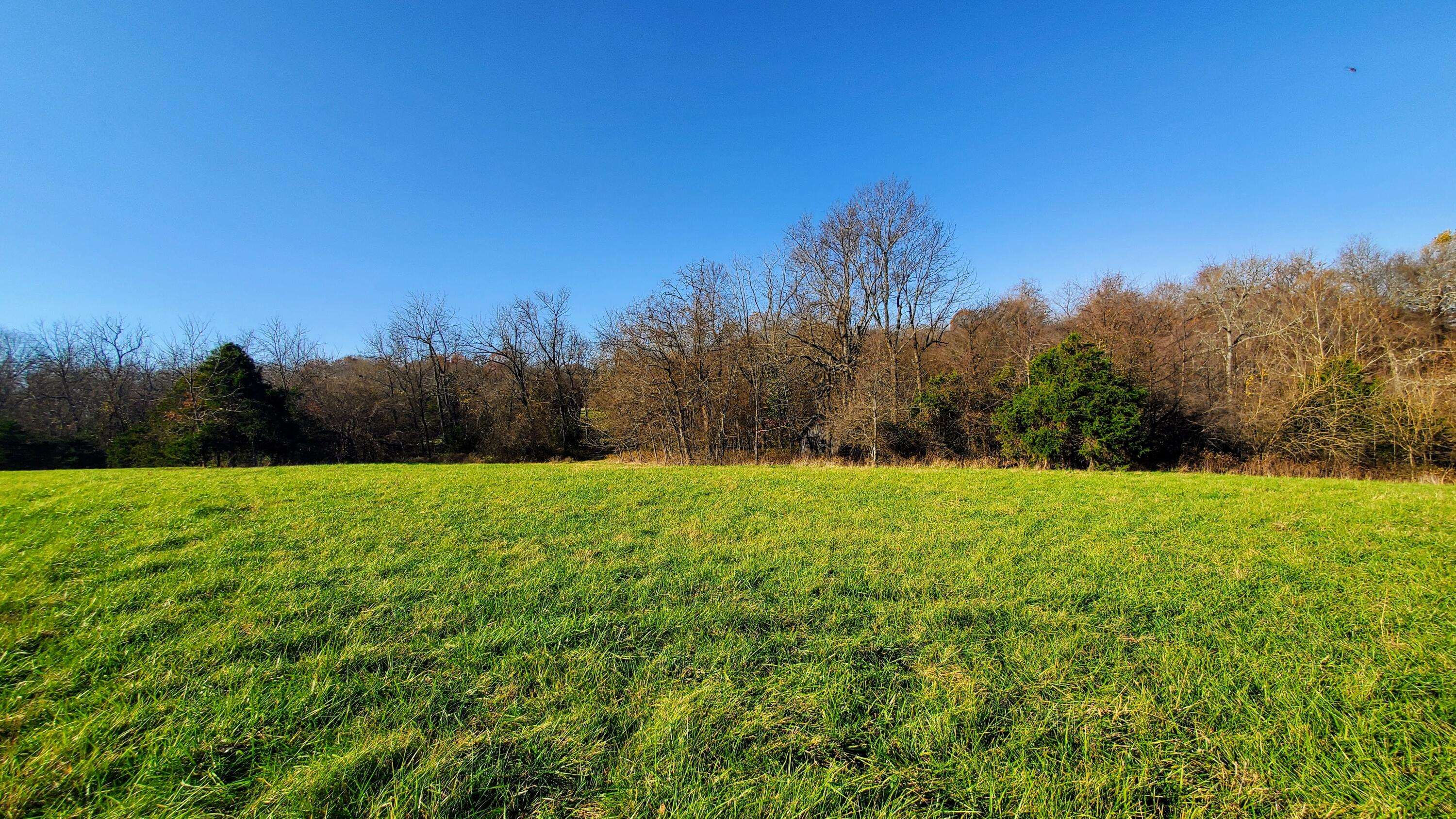 Republic, MO 65738,6973 W Musket Ridge RD #Lot 22
