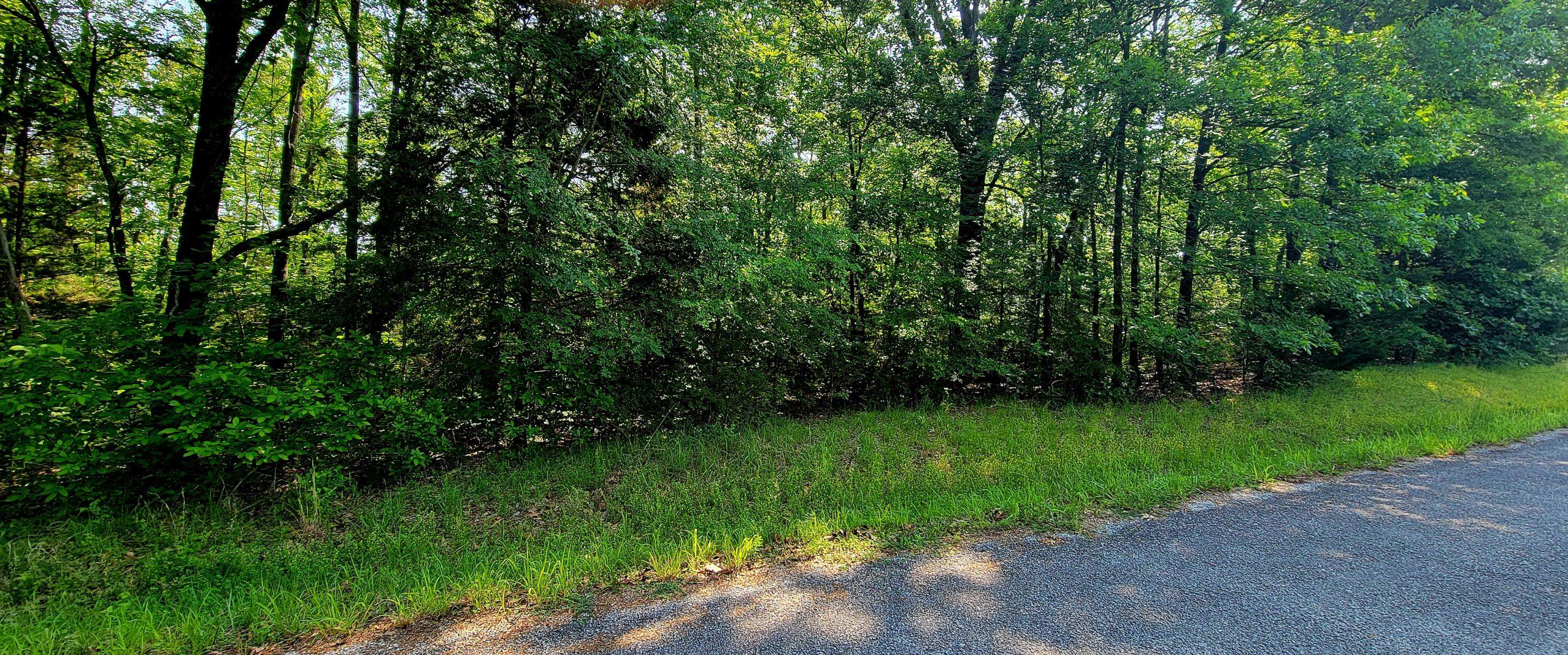 Cape Fair, MO 65624,Lot 68 Lost In Woods LN