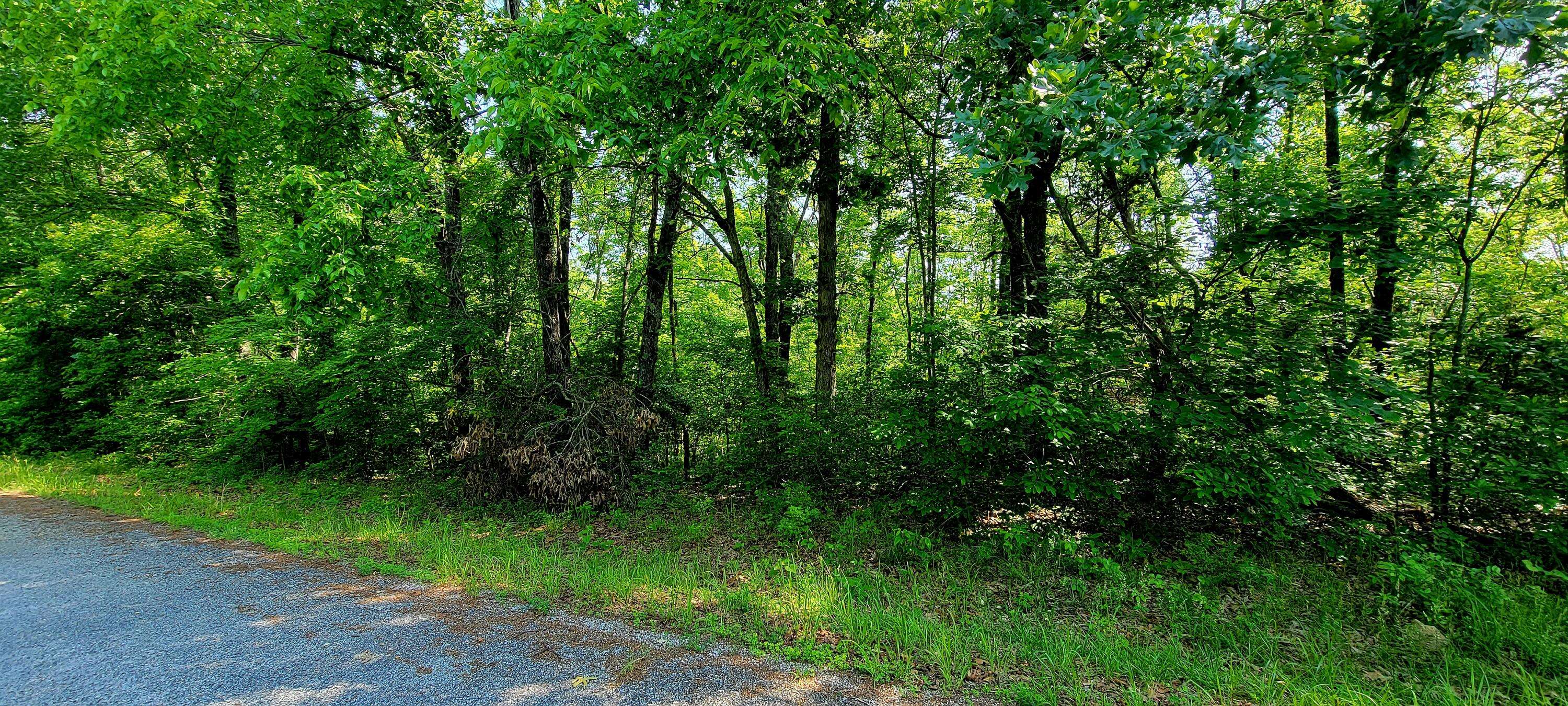 Cape Fair, MO 65624,Lot 68 Lost In Woods LN