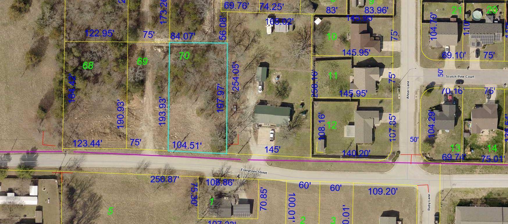 Hollister, MO 65673,1255 Evergreen ST #Lot 70