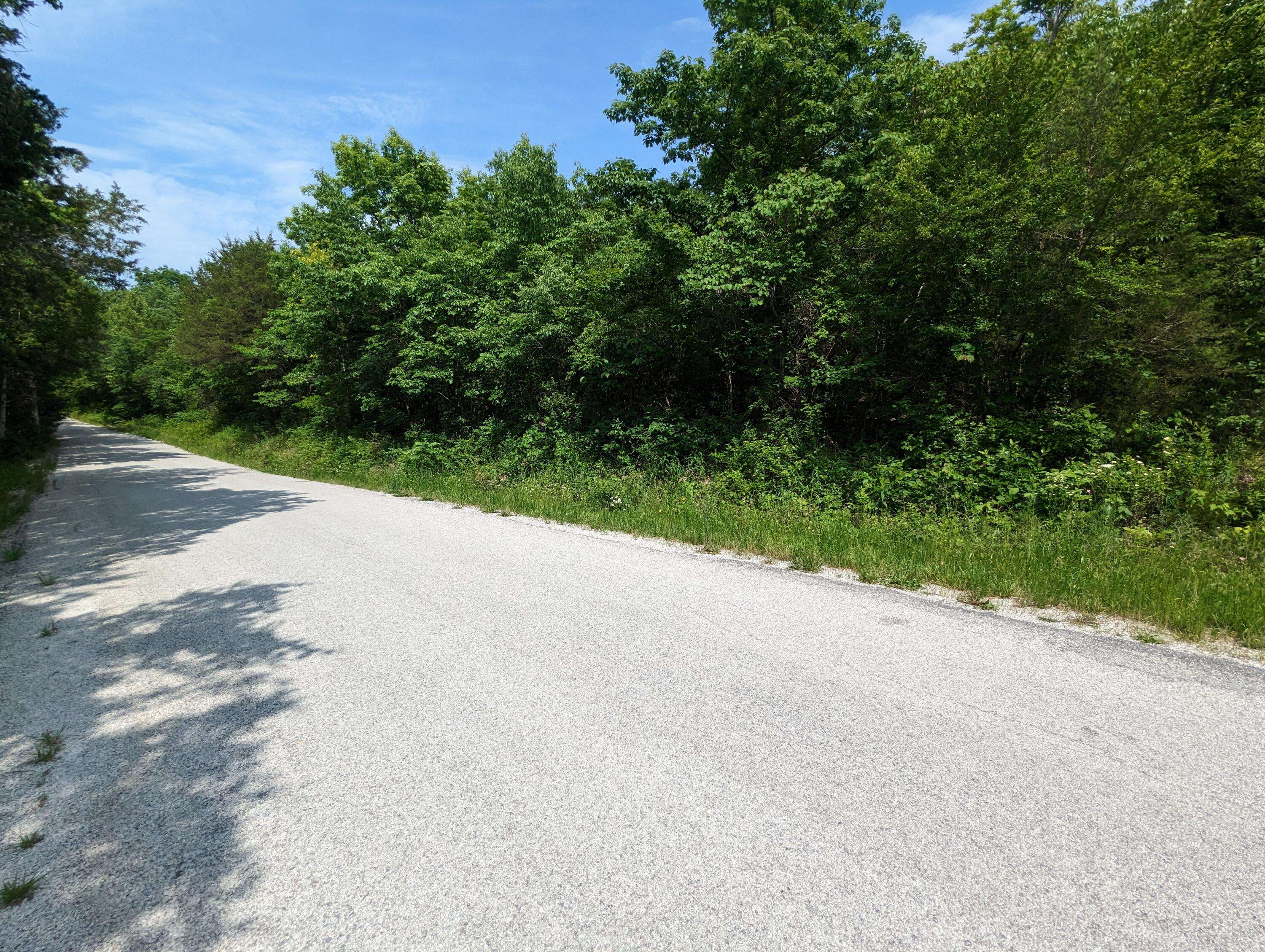 Galena, MO 65656,Lots 34,35 Virgin Bluff Drive