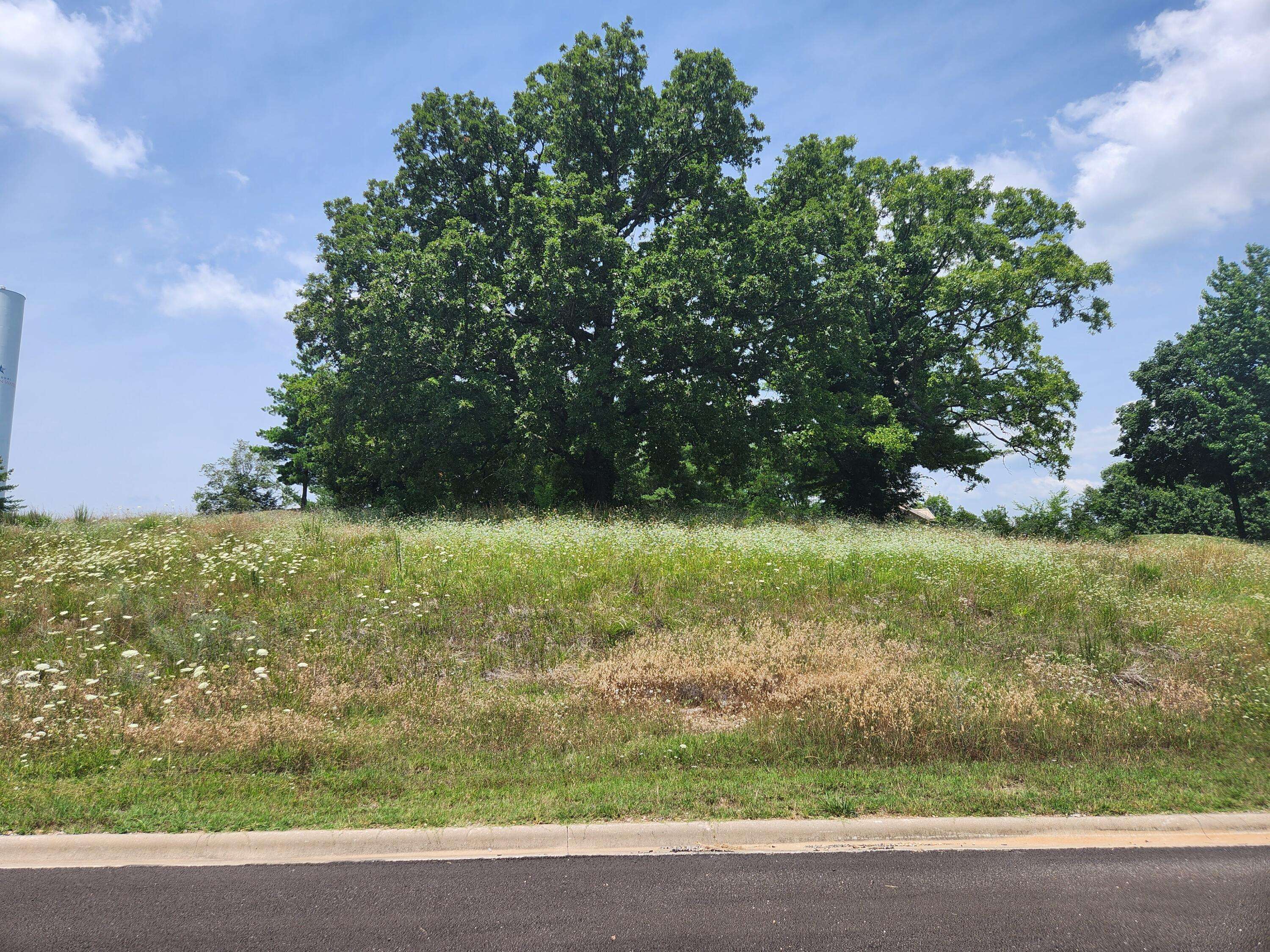 Hollister, MO 65672,Lot 329 Emerald Pointe Drive