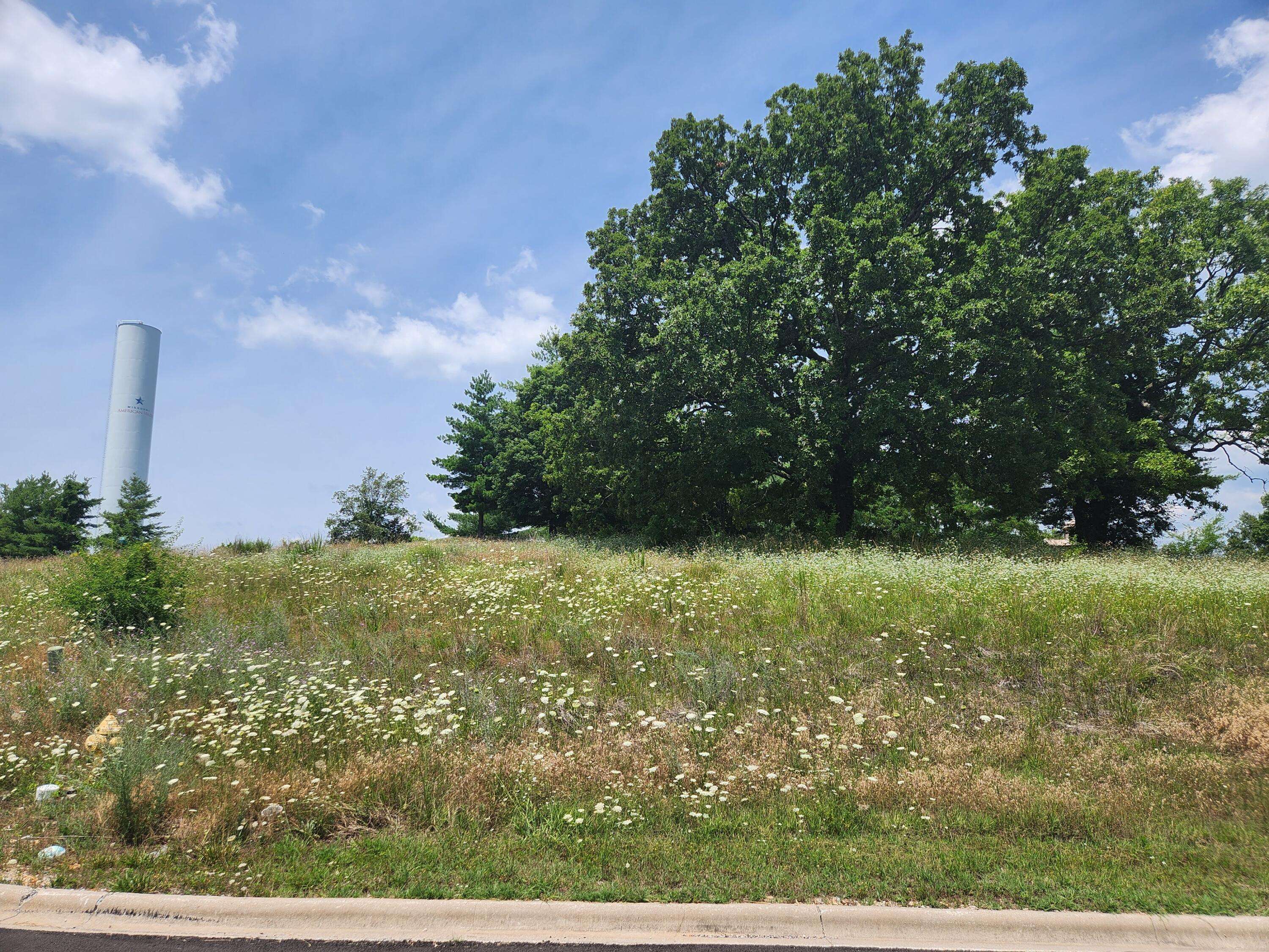 Hollister, MO 65672,Lot 329 Emerald Pointe Drive