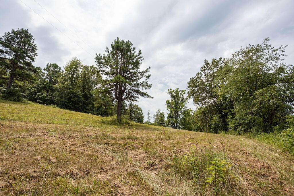 Bunker, MO 63629,000 County Road 561