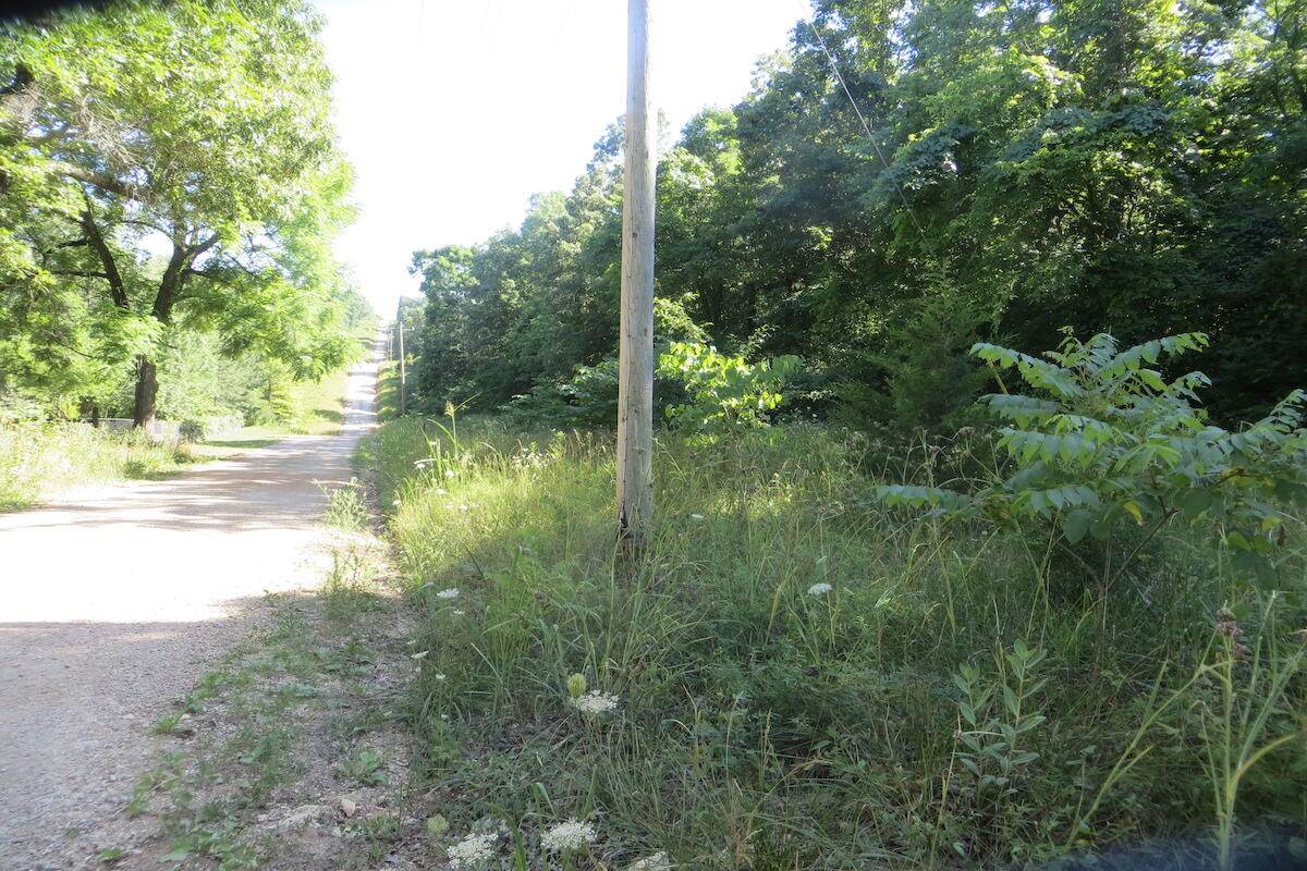 Thayer, MO 65791,2391 County Road 359