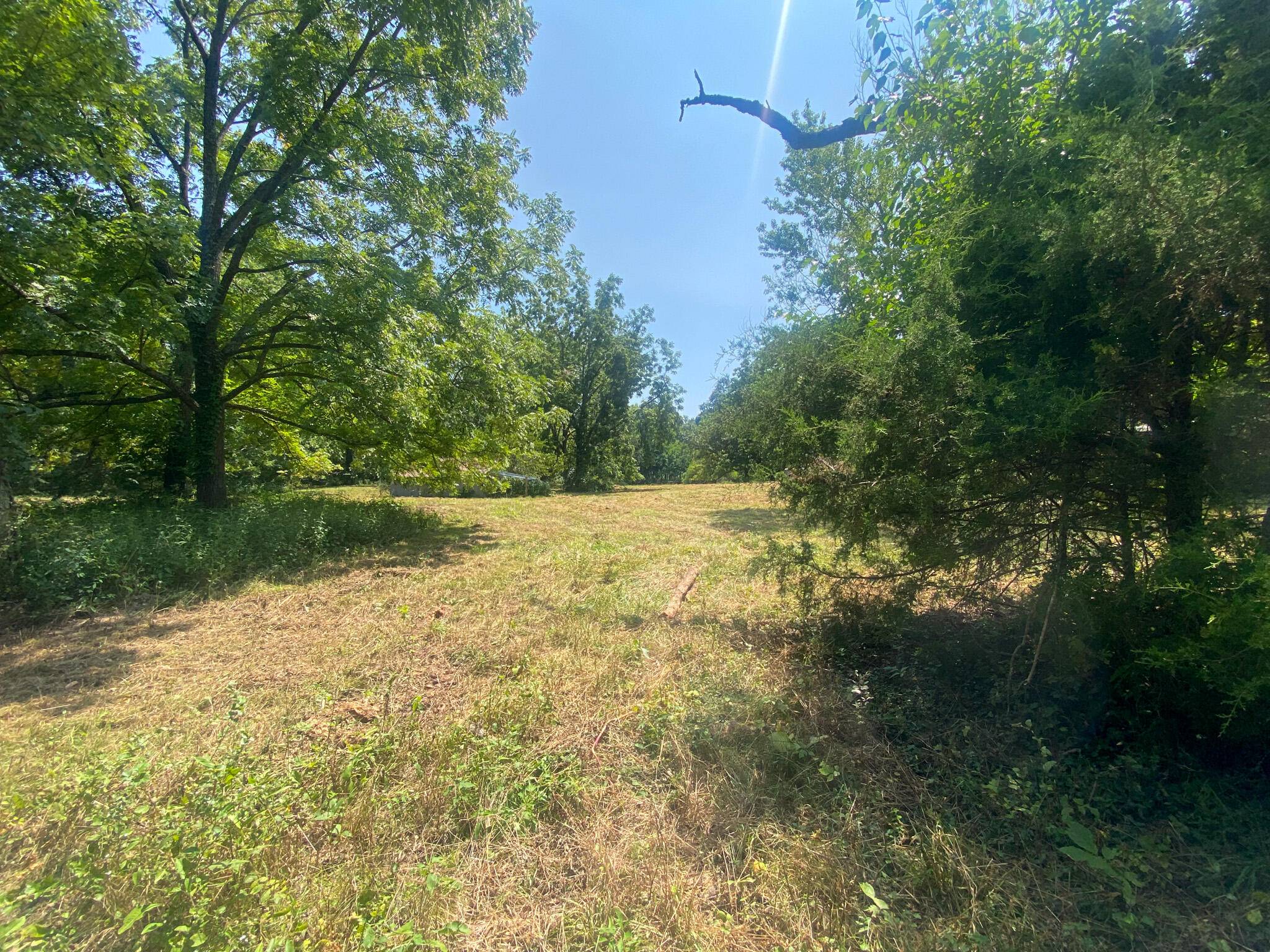 Rogersville, MO 65742,6306 Missouri 125