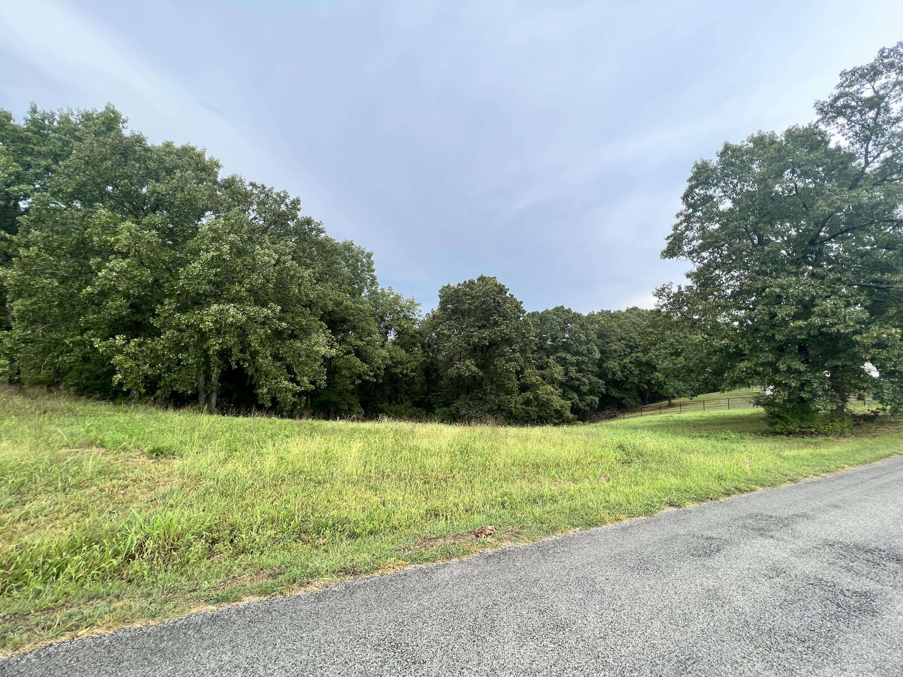 Cape Fair, MO 65624,123 Panorama DR