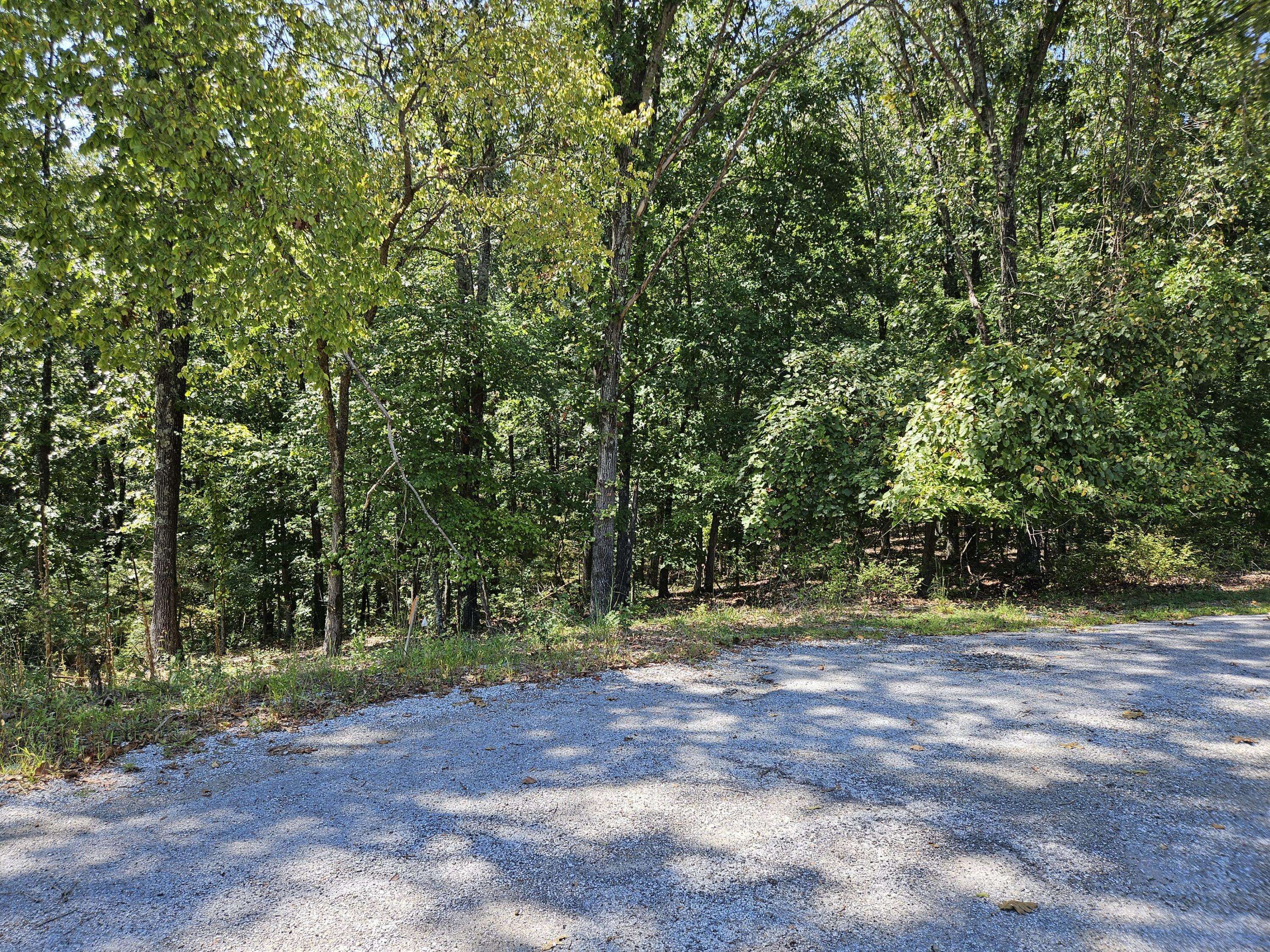 Cape Fair, MO 65624,161 Forestview CT