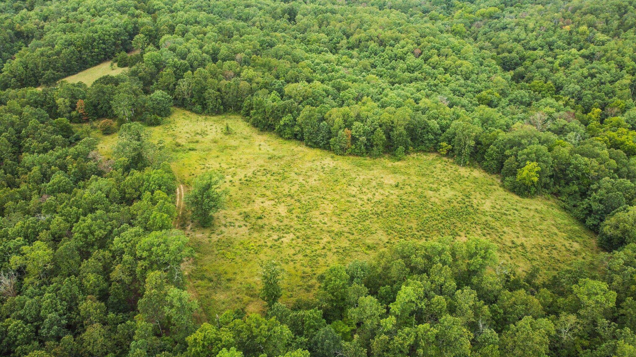 Willow Springs, MO 65793,000 County Road 1990