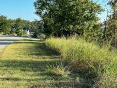 Branson, MO 65616,33 Henning Crossing