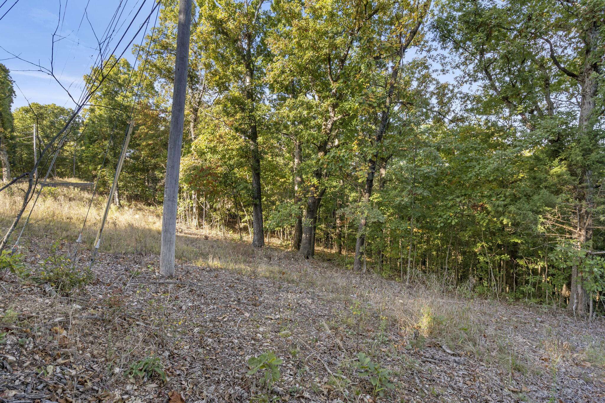 Branson West, MO 65737,Lot 27 Talking Rocks RD