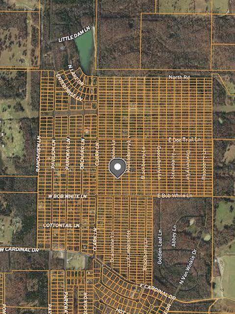 Horseshoe Bend, AR 72512,1316 Grapevine LN