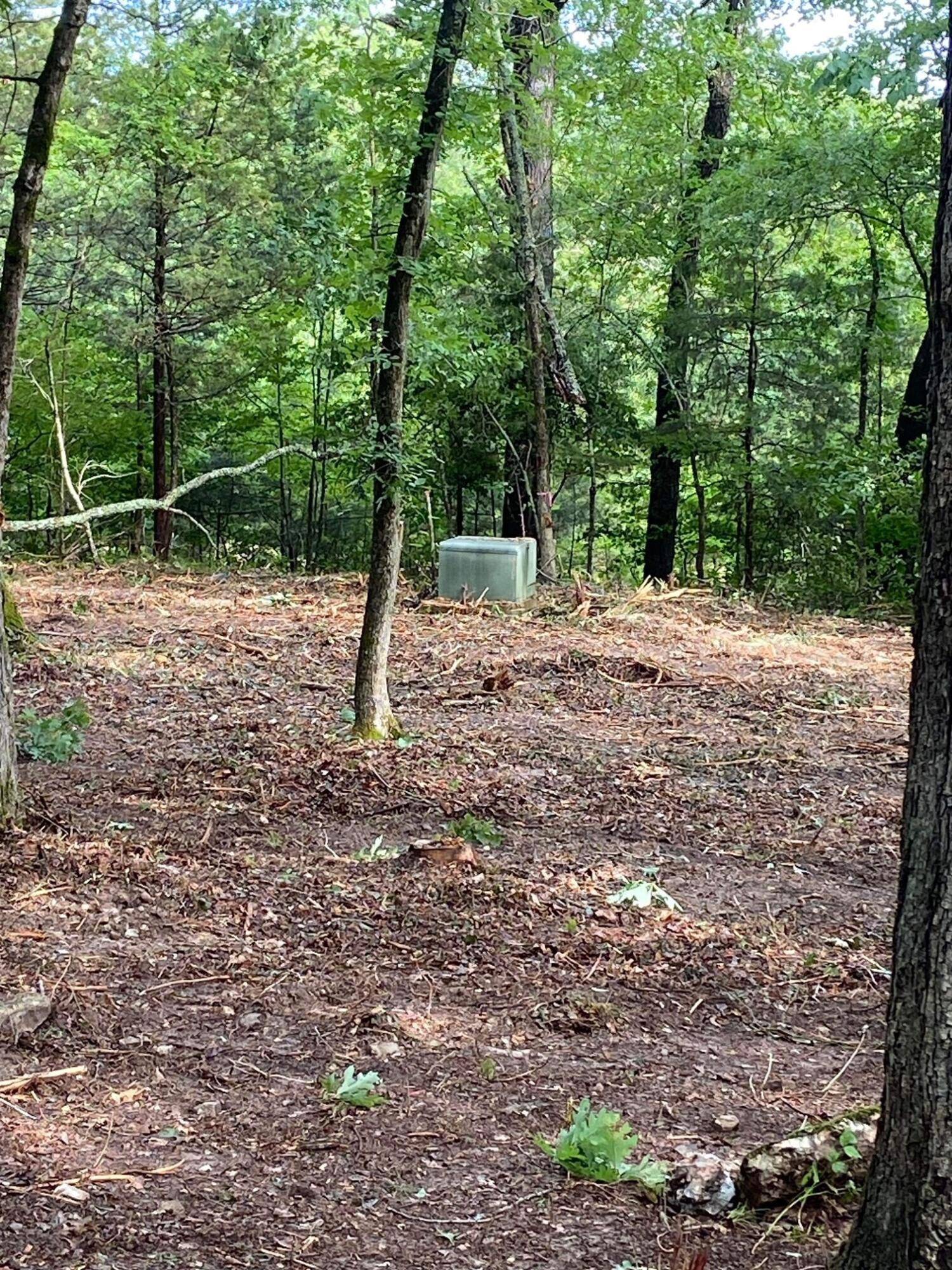 Powersite, MO 65731,Lot 100 Richmond RD