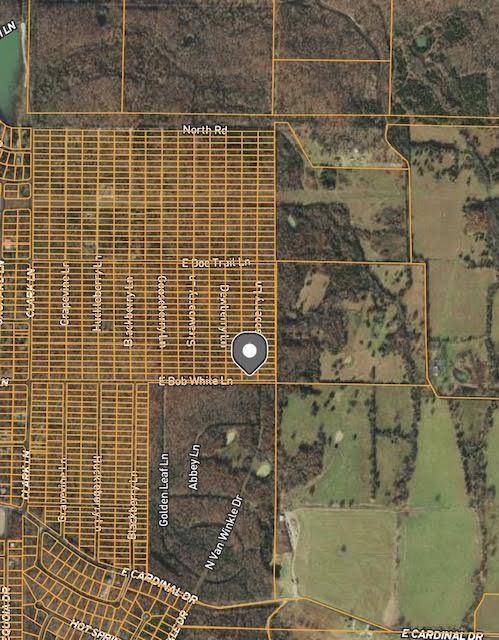 Horseshoe Bend, AR 72512,1400-1402 Raspberry LN