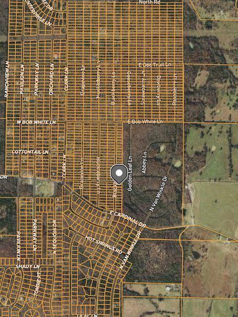 Horseshoe Bend, AR 72512,1021 Blackberry LN