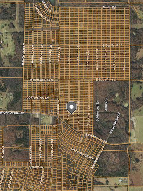 Horseshoe Bend, AR 72512,1108 Grapevine LN