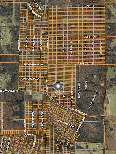 Horseshoe Bend, AR 72512,1108-1110 Grapevine LN