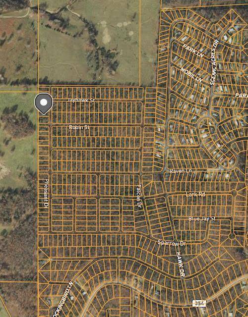 Horseshoe Bend, AR 72512,1303 Pheasant DR