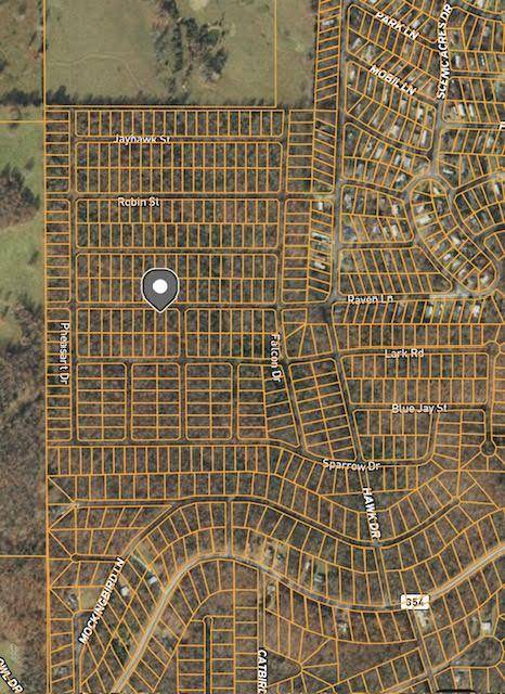 Horseshoe Bend, AR 72512,1418 Raven ST