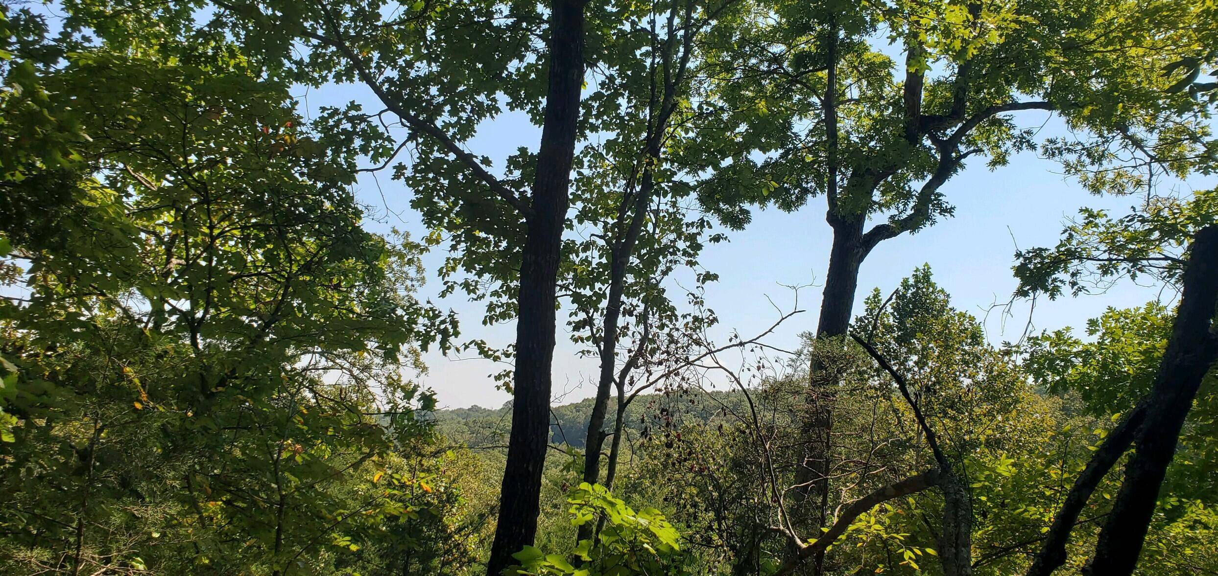 Forsyth, MO 65653,Lot 3,4,24 Adams RD