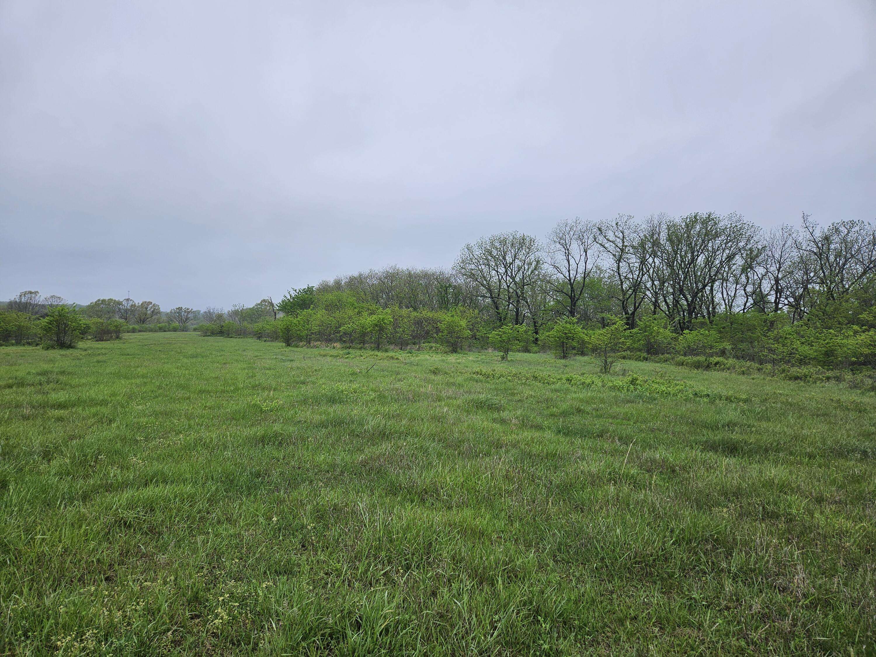 Mansfield, MO 65704,000 Cravens Road