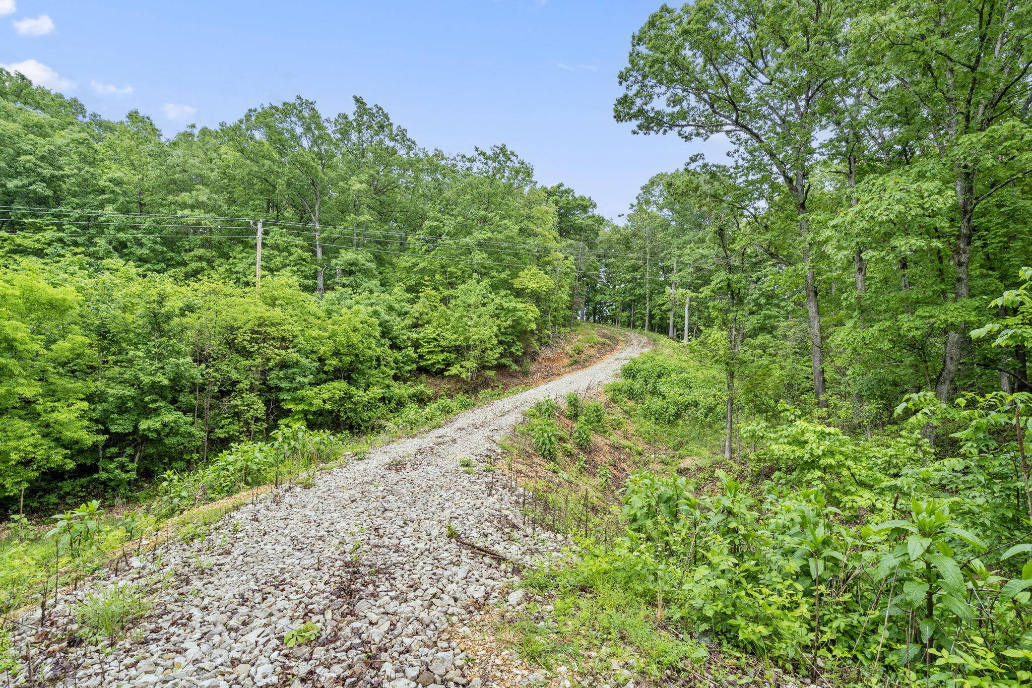 Rogersville, MO 65742,438 Ranch DR