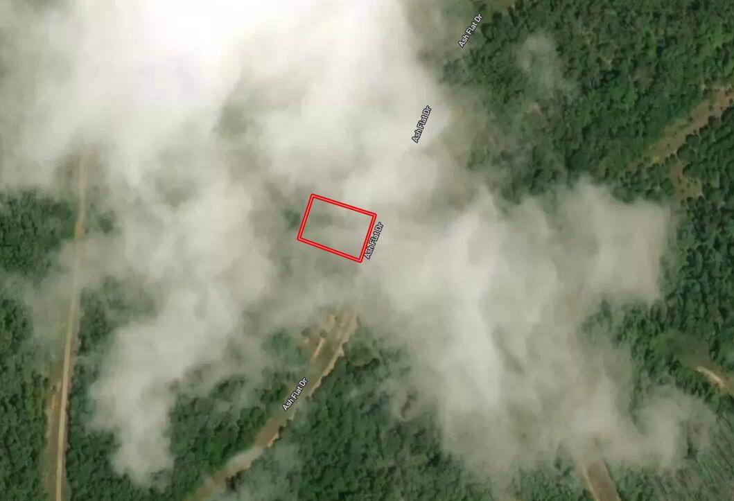 Horseshoe Bend, AR 72512,405-2 Ash Flat DR