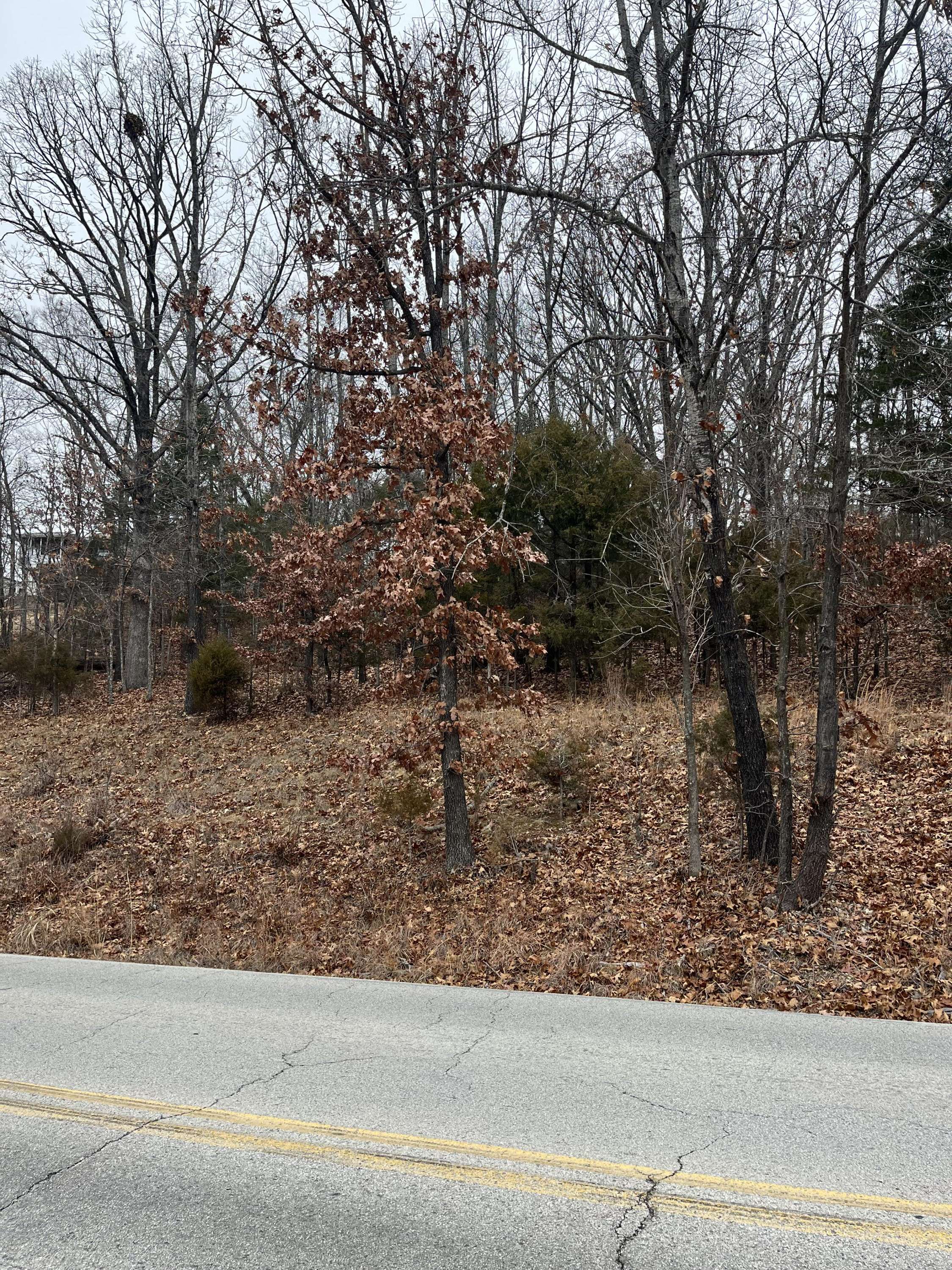 Kimberling City, MO 65686,000 Hillcrest Dr.