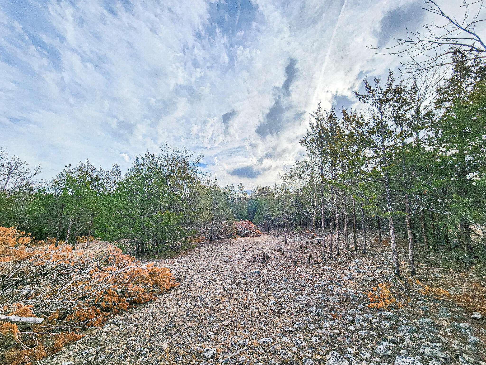 Pittsburg, MO 65724,Lot 2 Tall Oaks