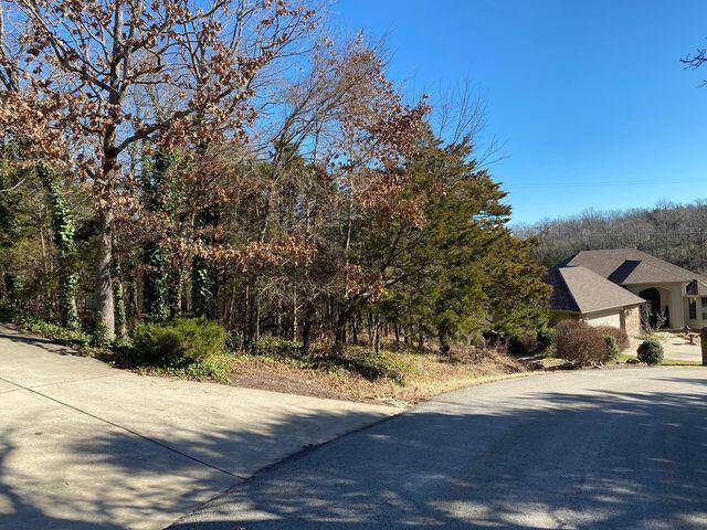 Branson West, MO 65737,Lot 13 Stoneykirk