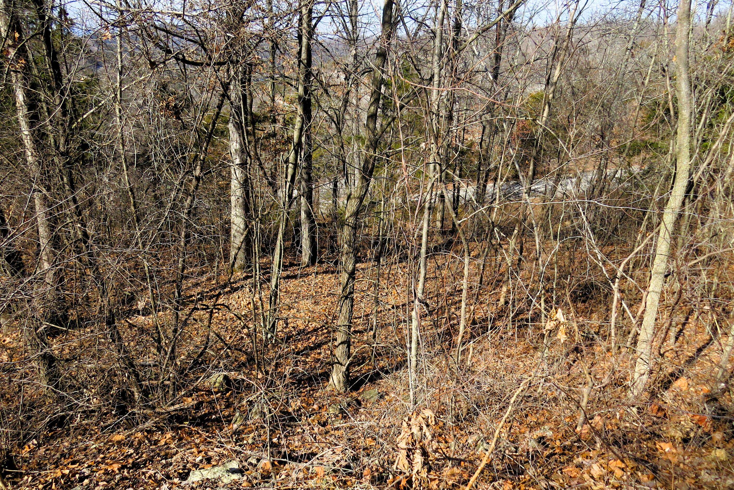 Hollister, MO 65672,Lot 273a Hill Haven RD