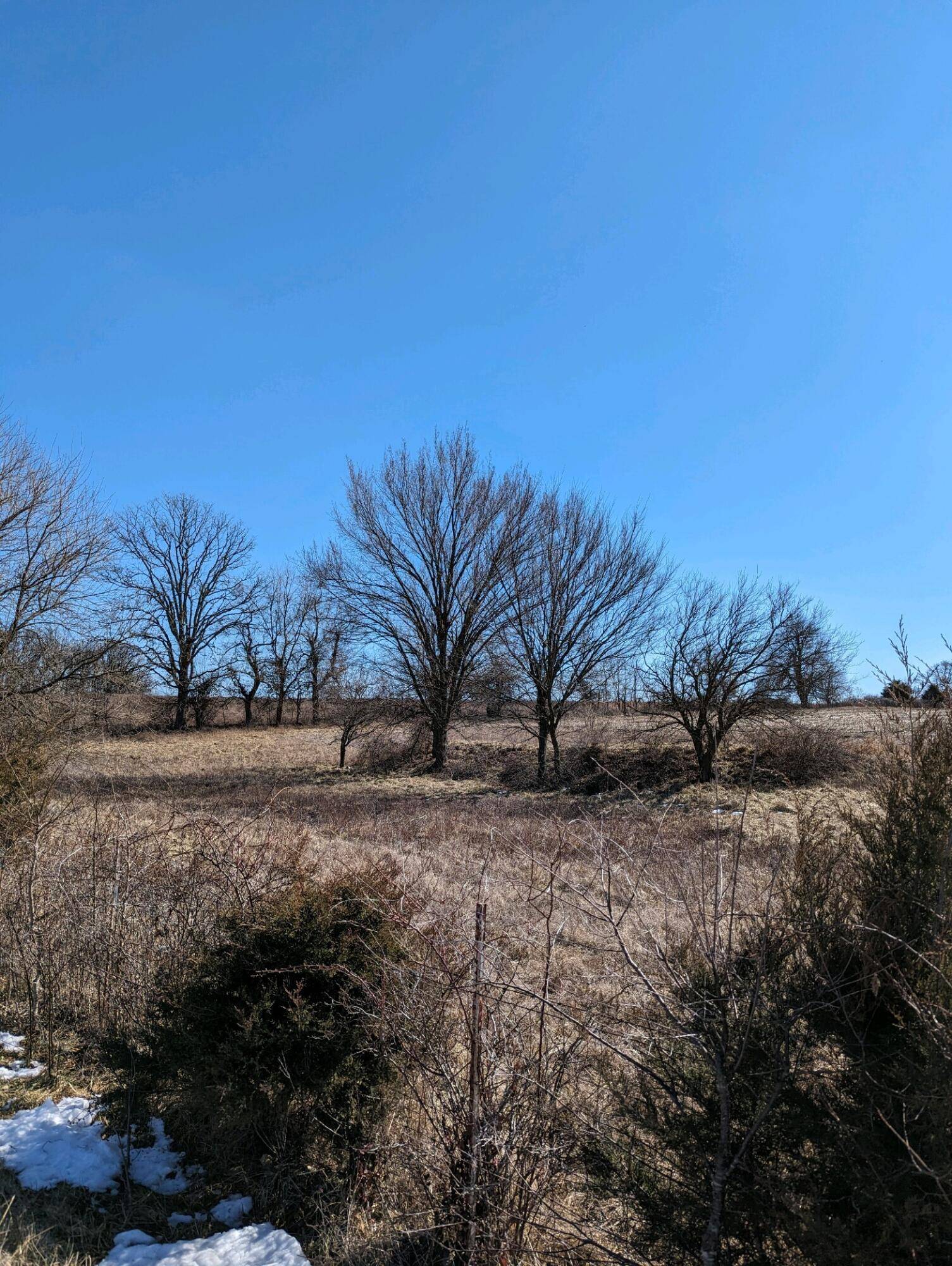 Marionville, MO 65705,000 Shiloh Church Road