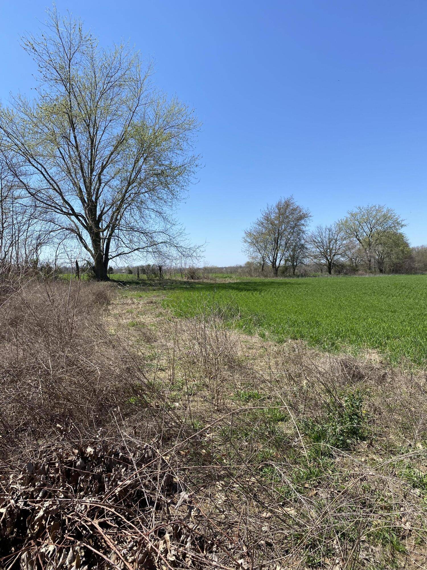 Cassville, MO 65625,000 Farm Road 1090