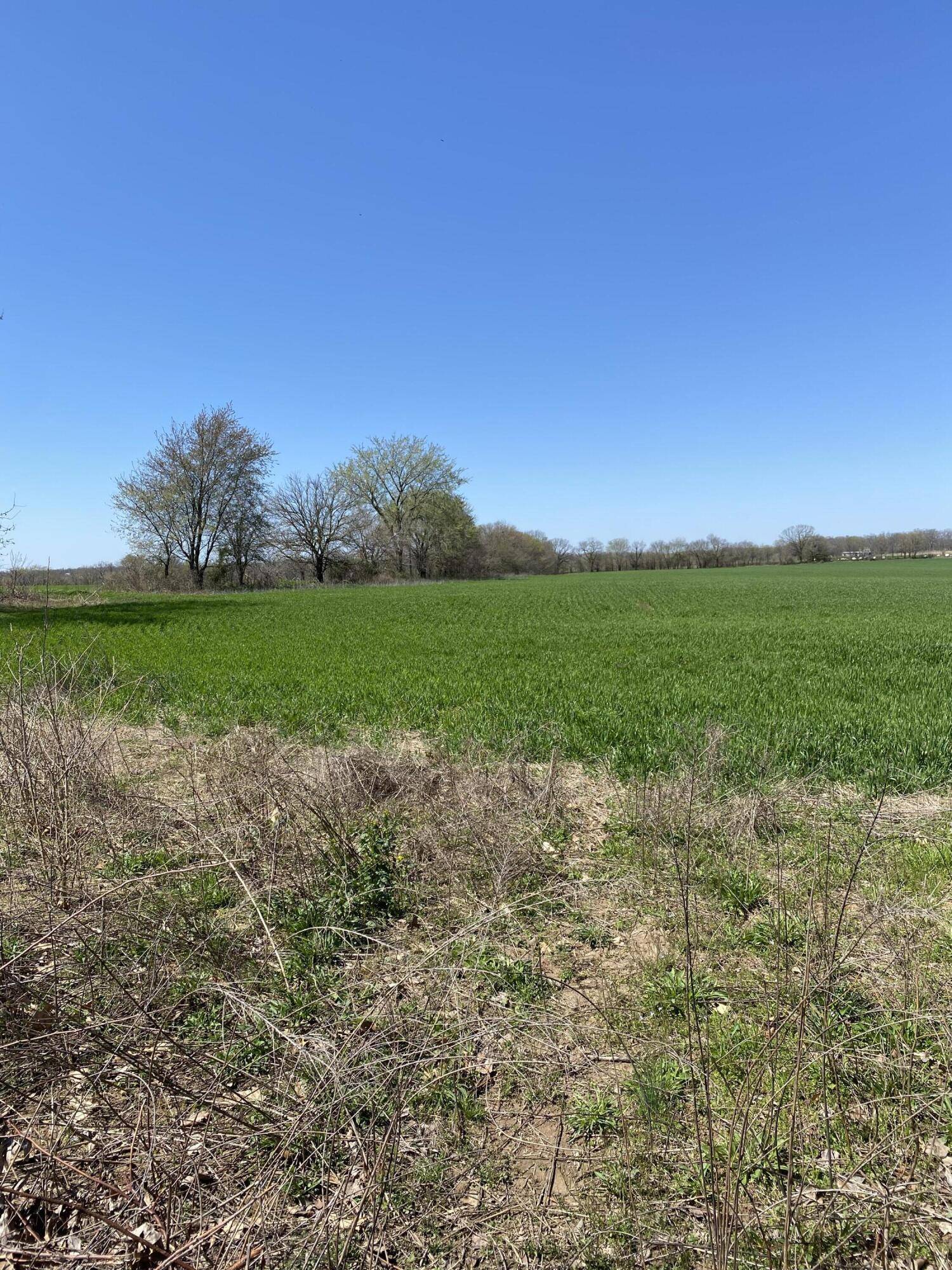 Cassville, MO 65625,000 Farm Road 1090