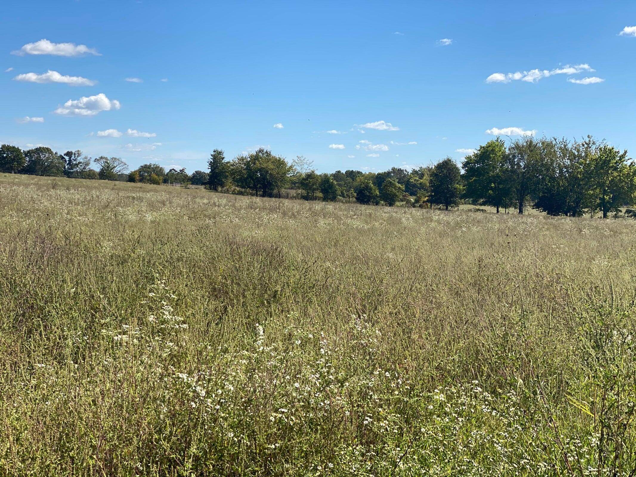 Rogersville, MO 65742,000 Cypress Rd