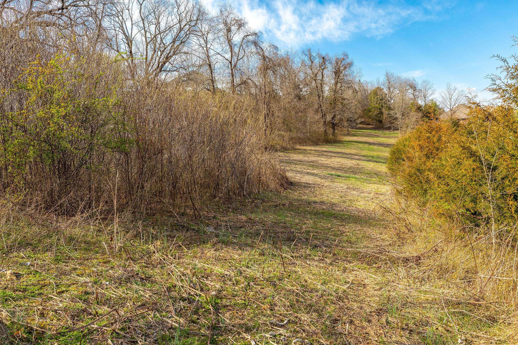 Walnut Shade, MO 65771,Lot 61 Jacks Hollow RD