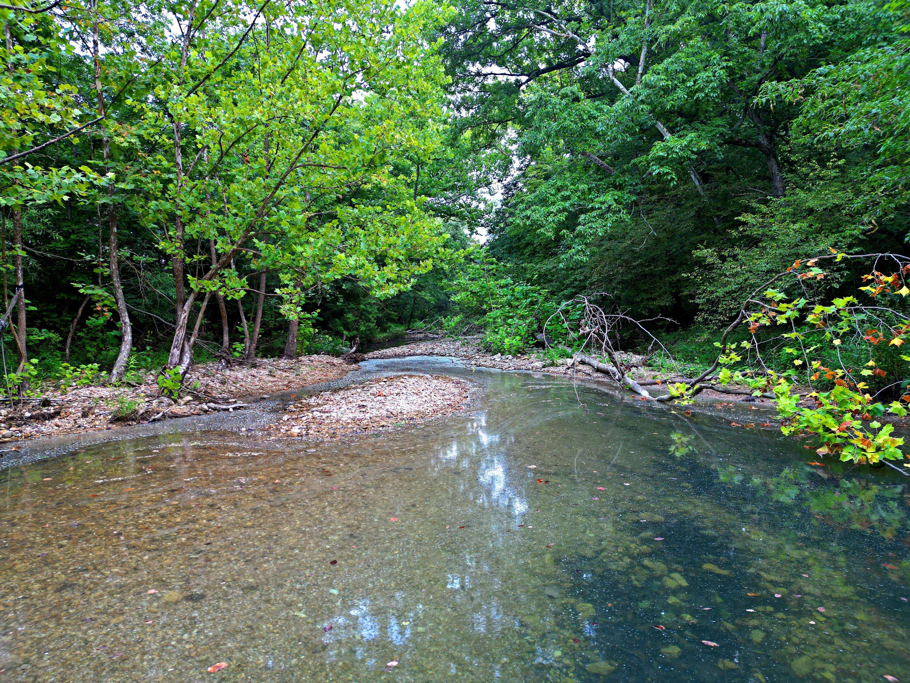 Versailles, MO 65084,000 8922 Mccasland Road