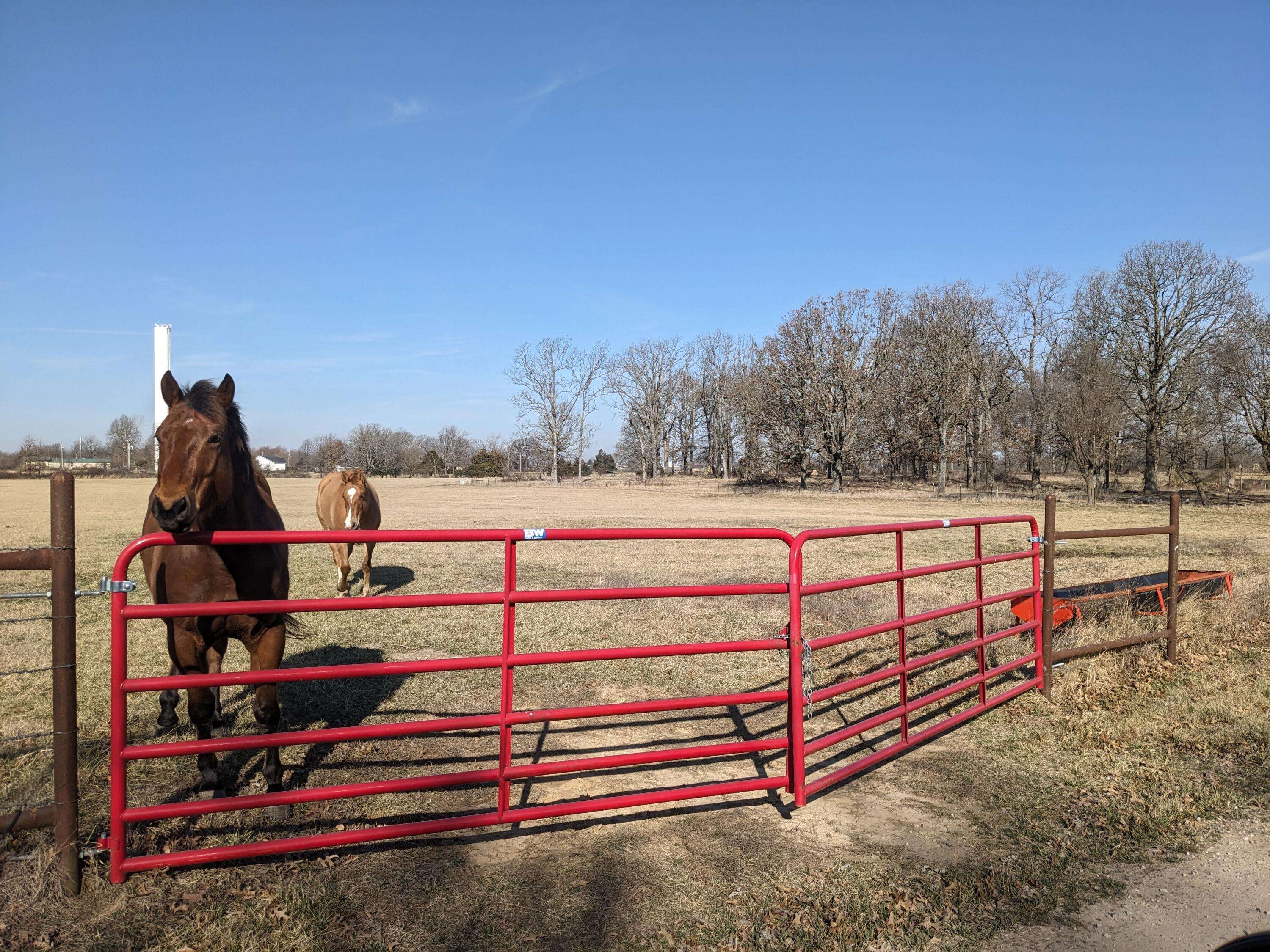 Seymour, MO 65746,0000 White Rose LN