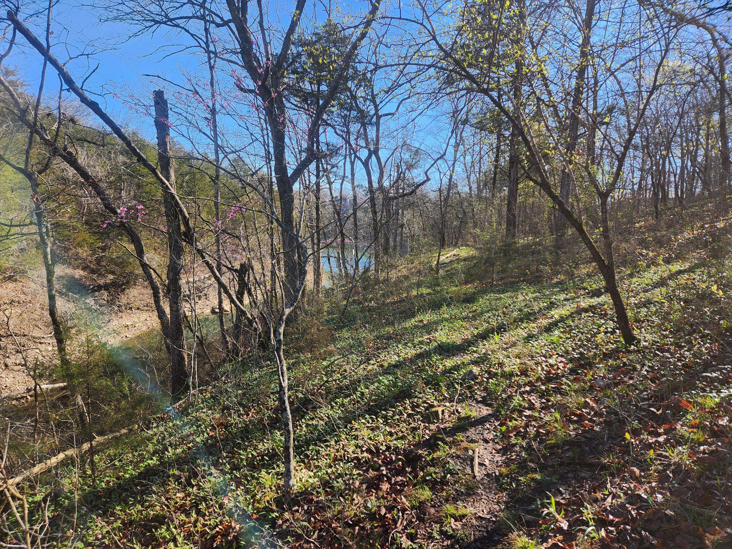 Shell Knob, MO 65747,Lot 21 Cedar Cove Estates