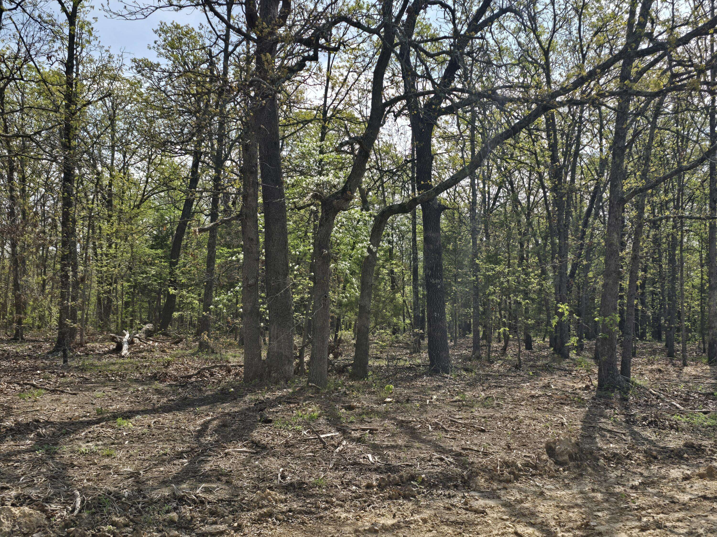 Lebanon, MO 65536,Tract B Glory LN
