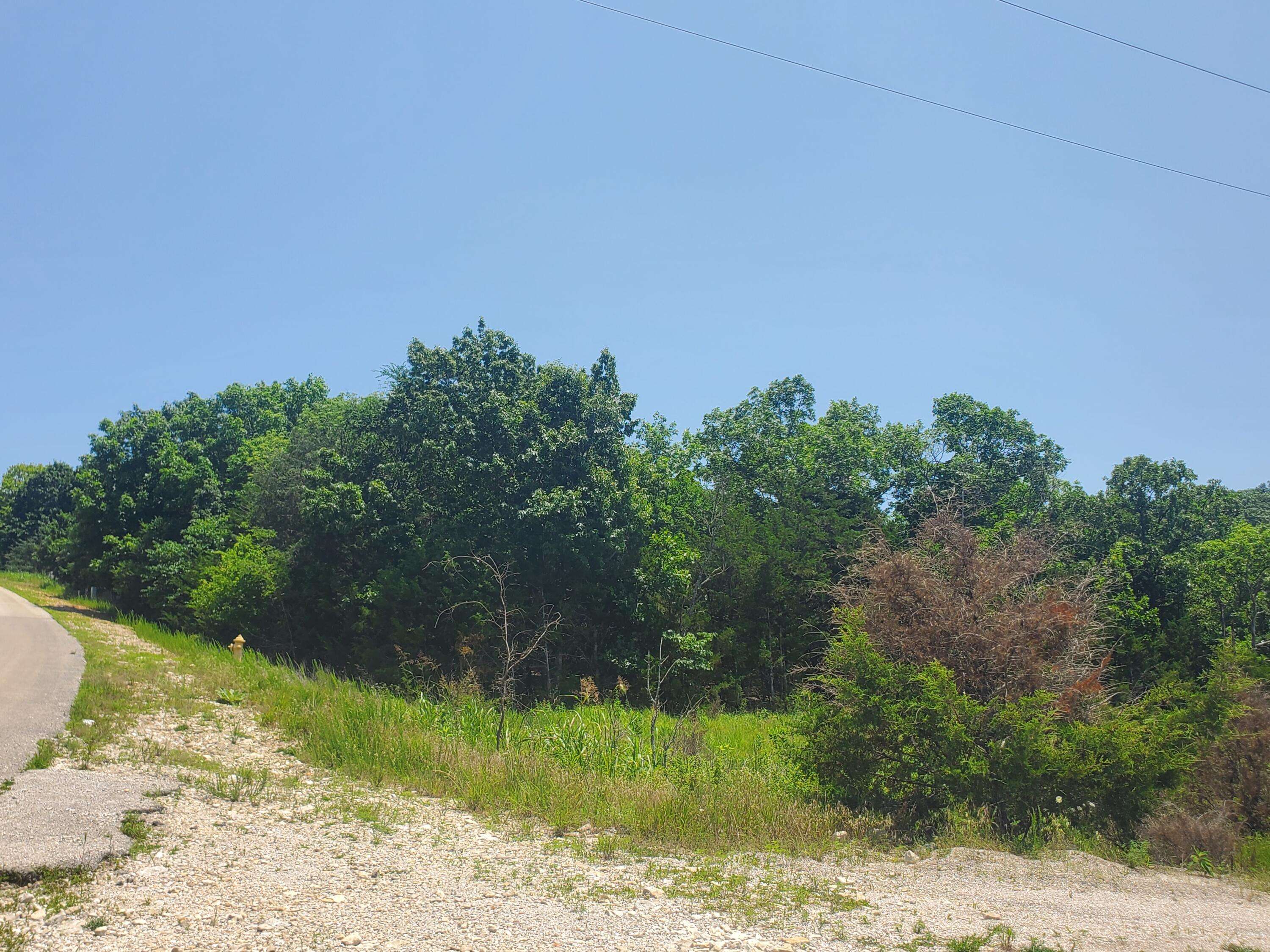 Branson, MO 65616,Lot 14 Hummingbird Hills