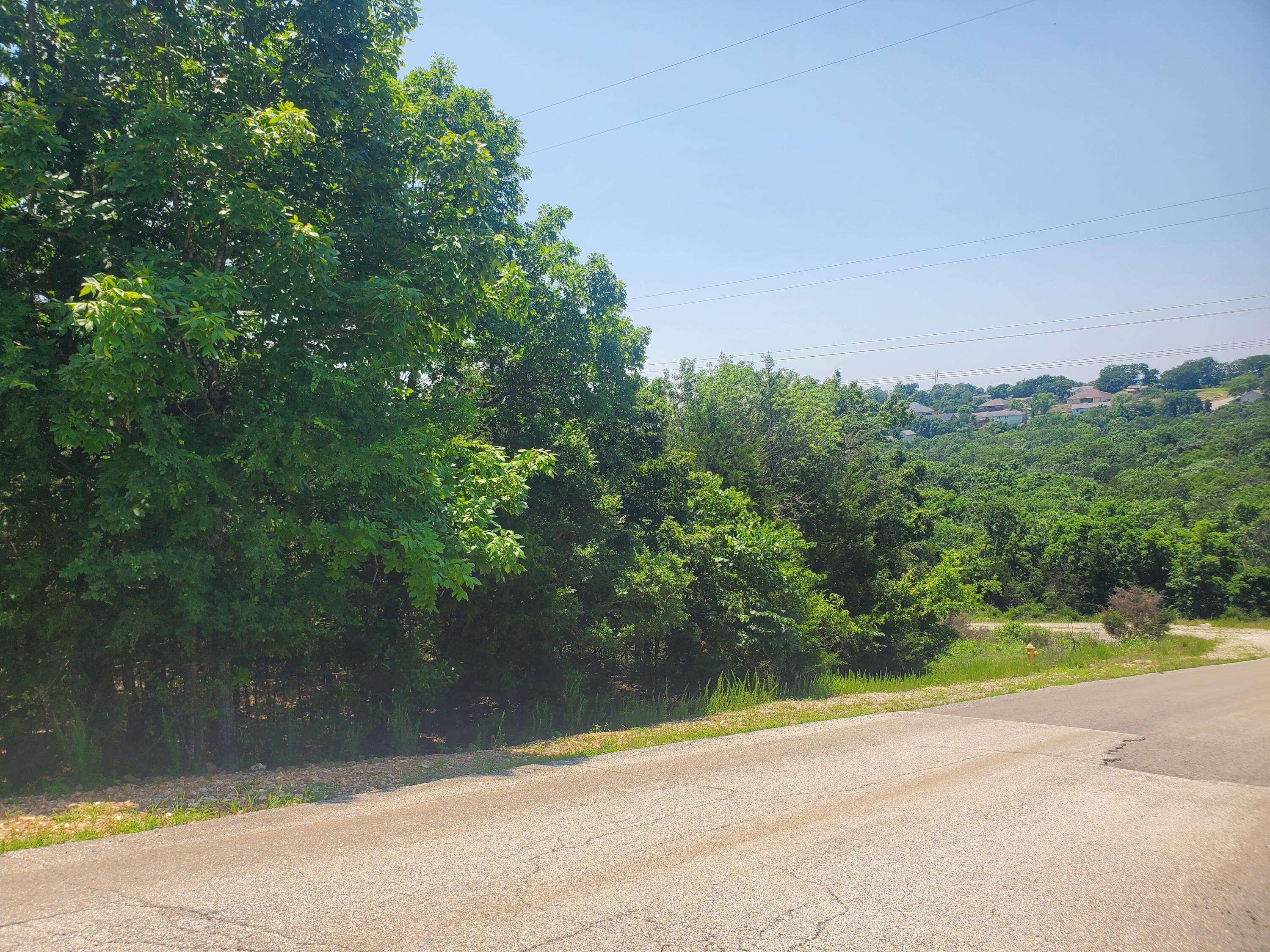 Branson, MO 65616,Lot 14 Hummingbird Hills