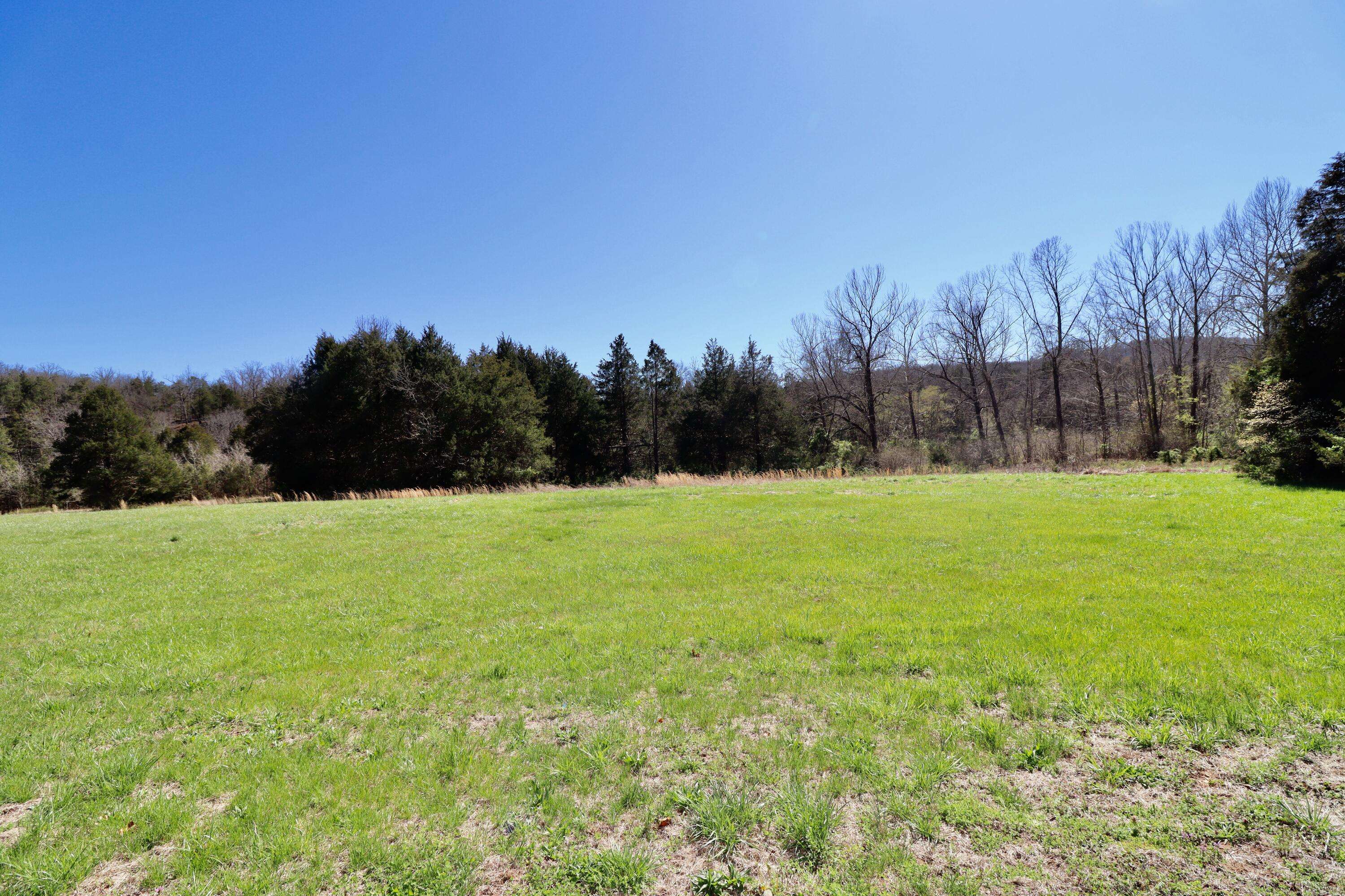 Saddlebrooke, MO 65630,000 Seven Pines Drive #Lot 117