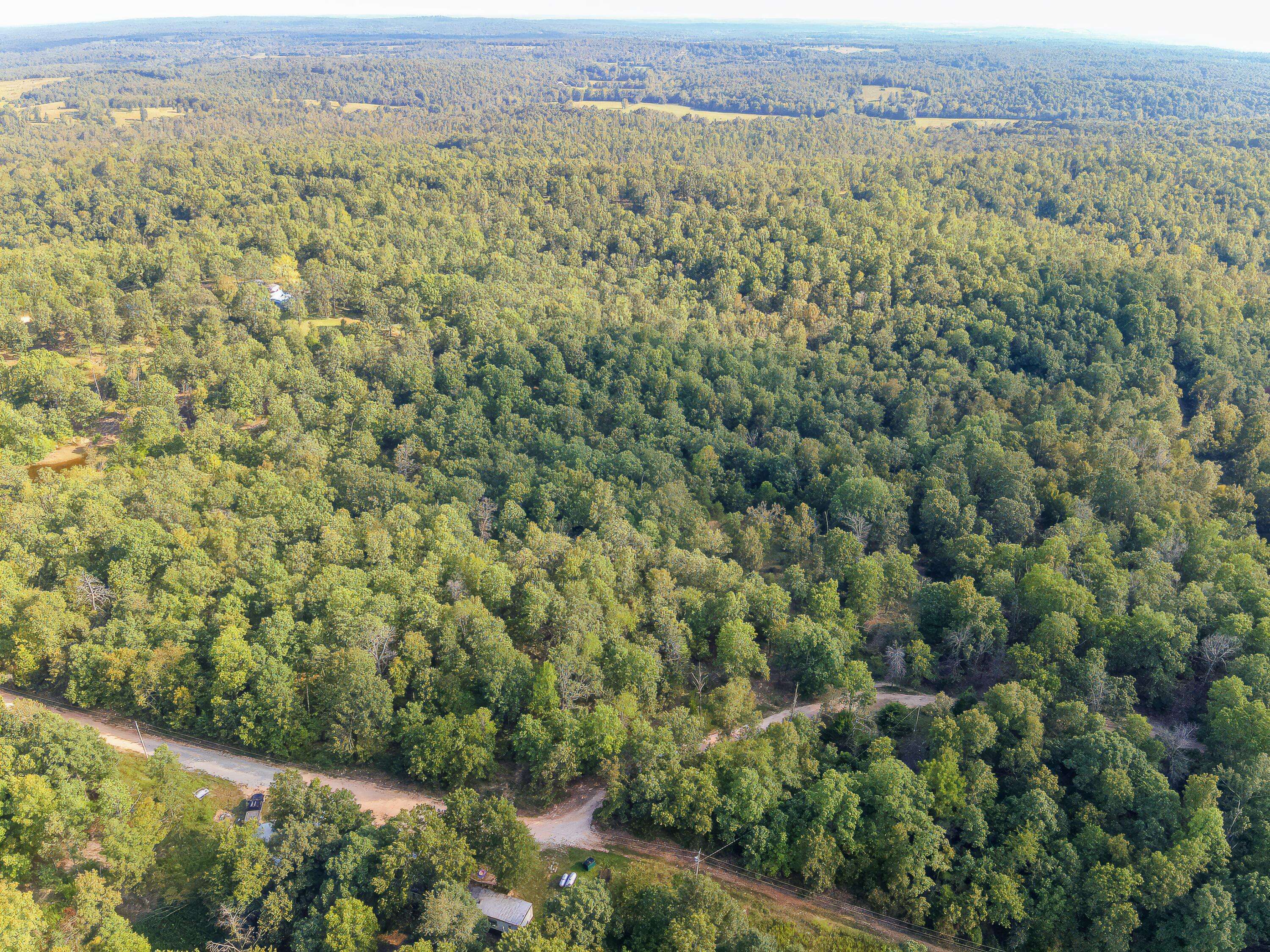 Salem, AR 72576,000 Young RD